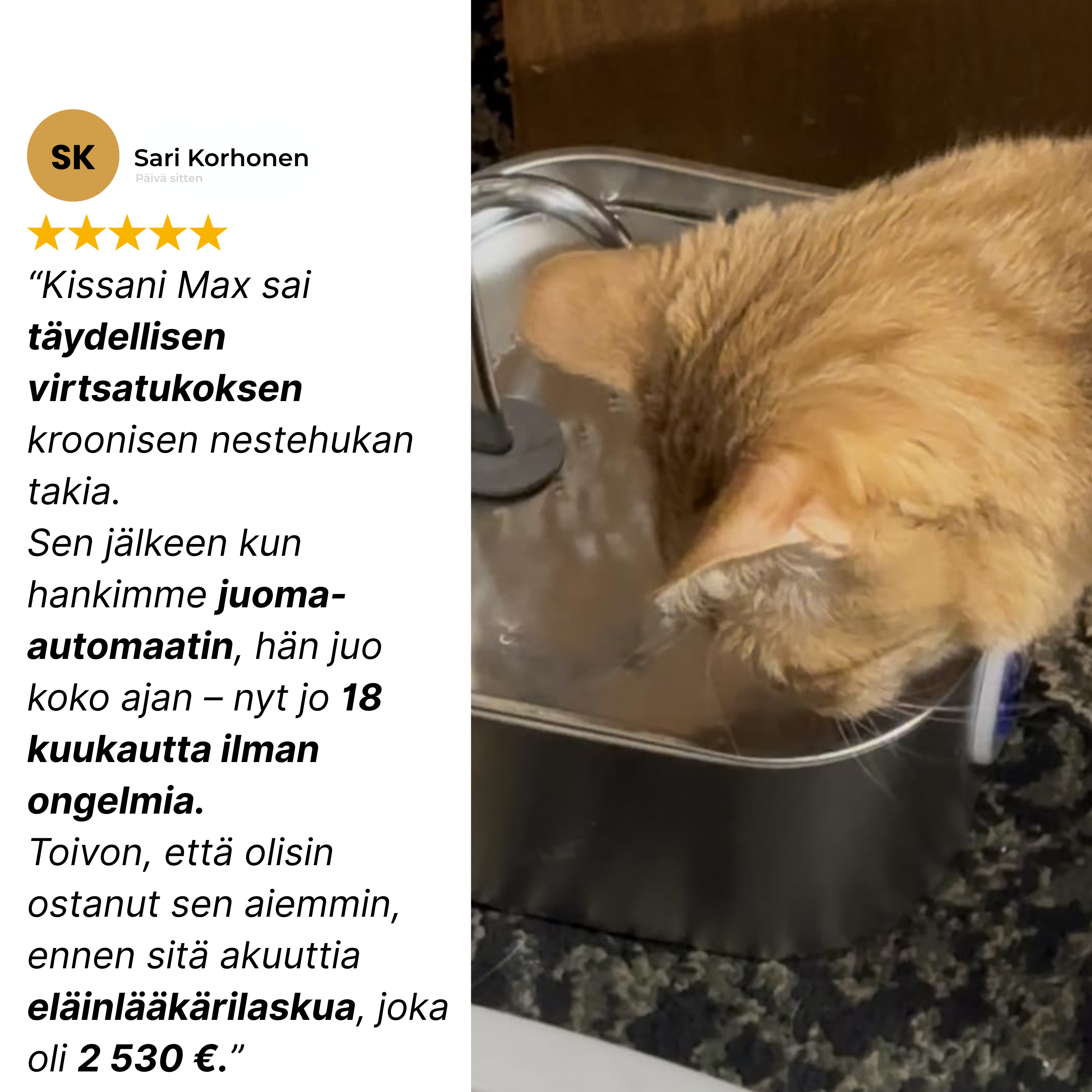 Kattellan Vesiautomaatti Ruostumattomasta Teräksestä