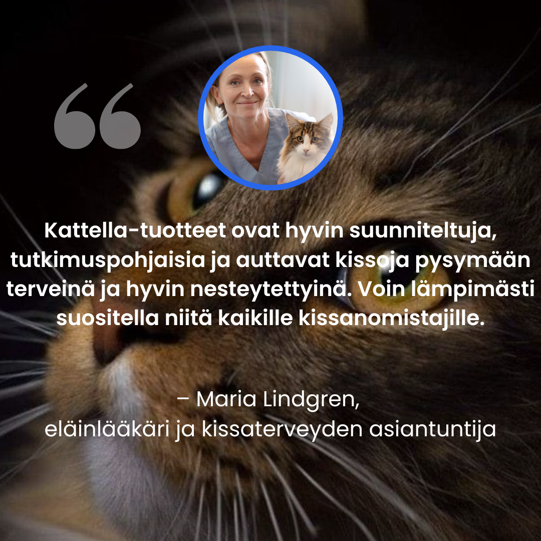 Kattellan Vesiautomaatti Ruostumattomasta Teräksestä