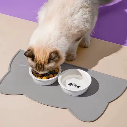 Roiskeita estävä alusta Kattellan juoma-altaalle